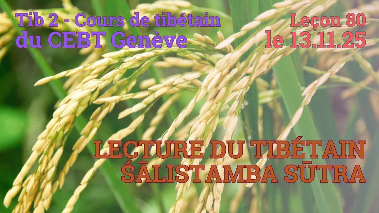 Tib 2 - Cours de tibétain ”pousse de riz” -  leçon 80, le 13.11.25