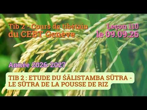 Tib 2 - Cours de tibétain ”pousse de riz” -  leçon 110, le 09.09.26
