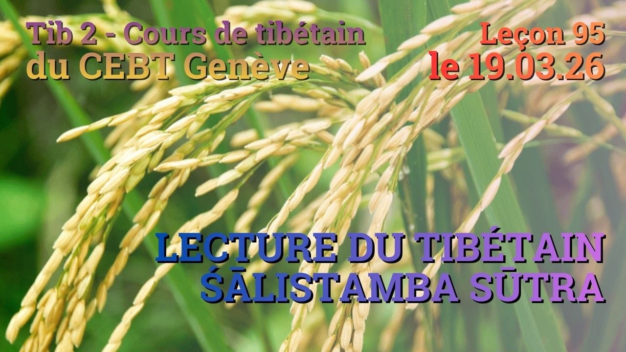 Tib 2 - Cours de tibétain ”pousse de riz” -  leçon 95, le 19.03.26