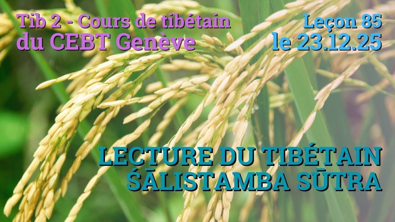 Tib 2 - Cours de tibétain ”pousse de riz” -  leçon 85, le 23.12.25