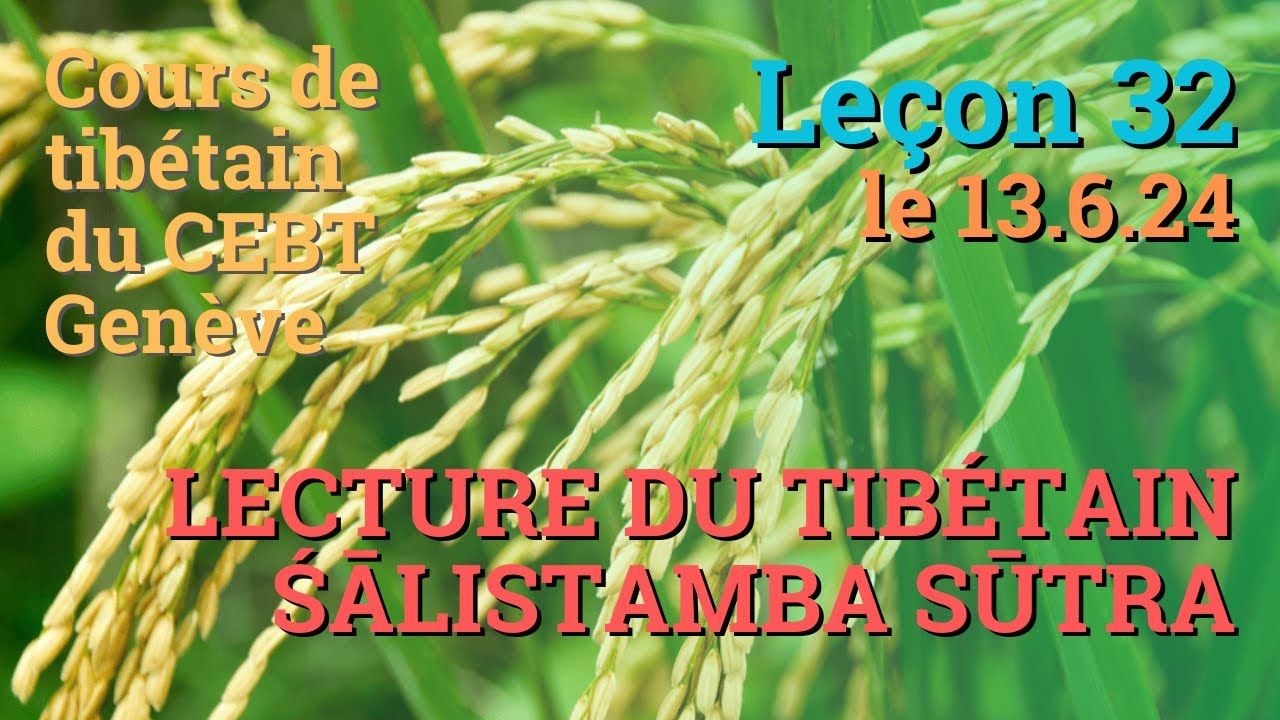 Cours de tibétain ”pousse de riz” - leçon 32 le 13.6.24