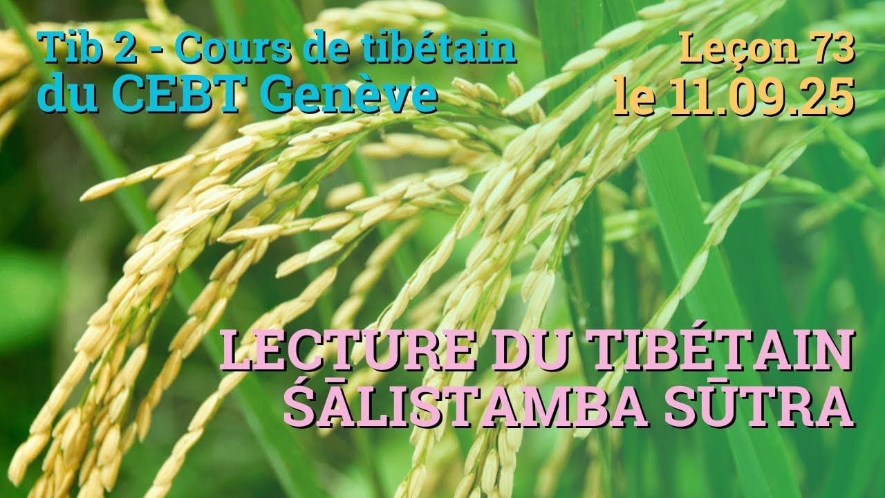 Tib 2 - Cours de tibétain ”pousse de riz” -  leçon 73, le 11.09.25