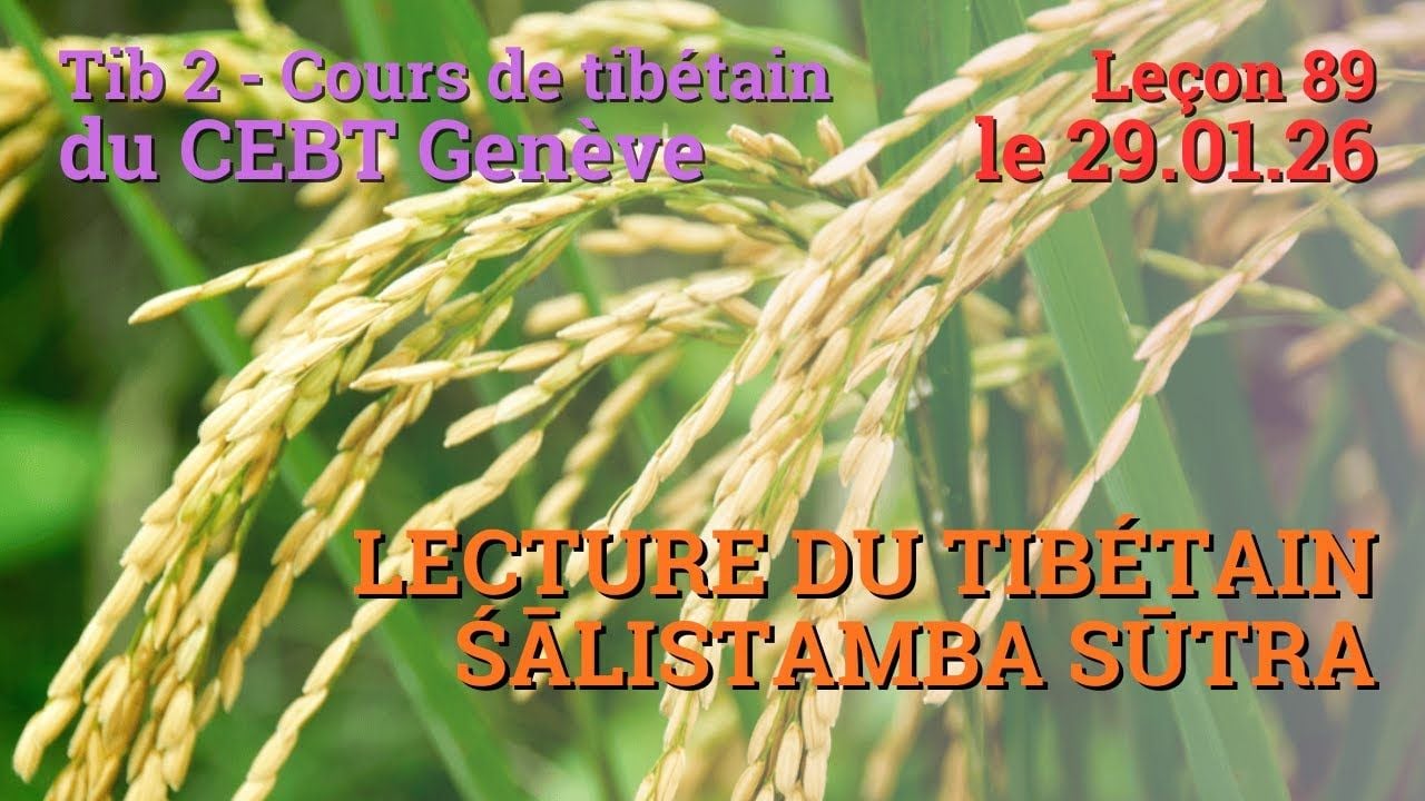 Tib 2 - Tibetan course “Rice sprout” - lesson 89, January 29, 2026