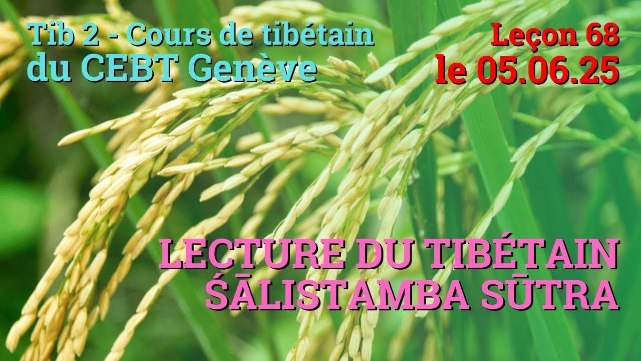 Tib 2 - Cours de tibétain ”pousse de riz” -  leçon 68, le 05.06.25