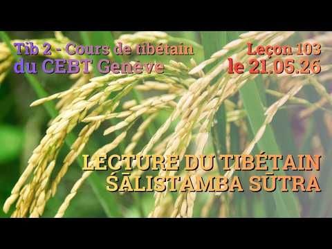 Tib 2 - Cours de tibétain ”pousse de riz” -  leçon 103, le 21.05.26