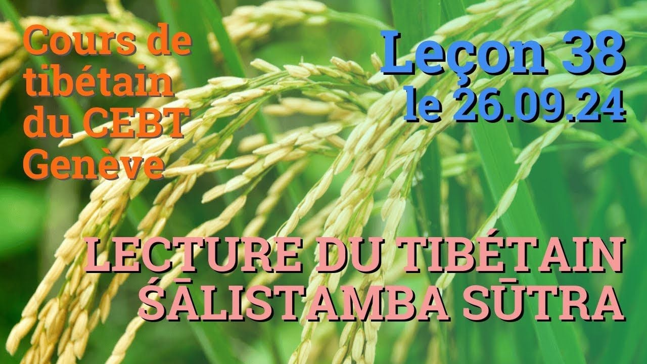 Cours de tibétain ”pousse de riz” -  leçon 38, le 26.9.24