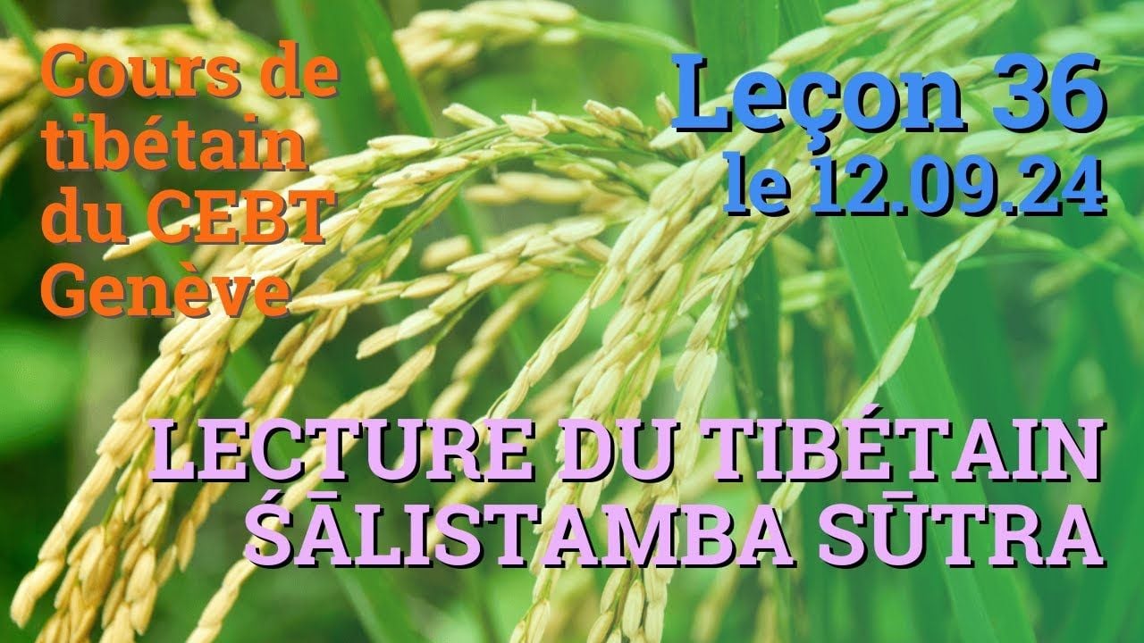 Cours de tibétain ”pousse de riz” -  leçon 36, le 12.9.24