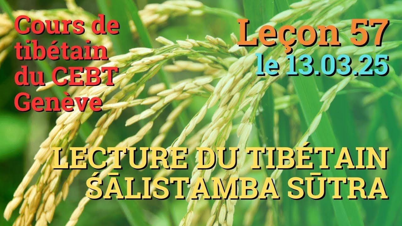 Cours de tibétain ”pousse de riz” - leçon 56, le 13.03.25