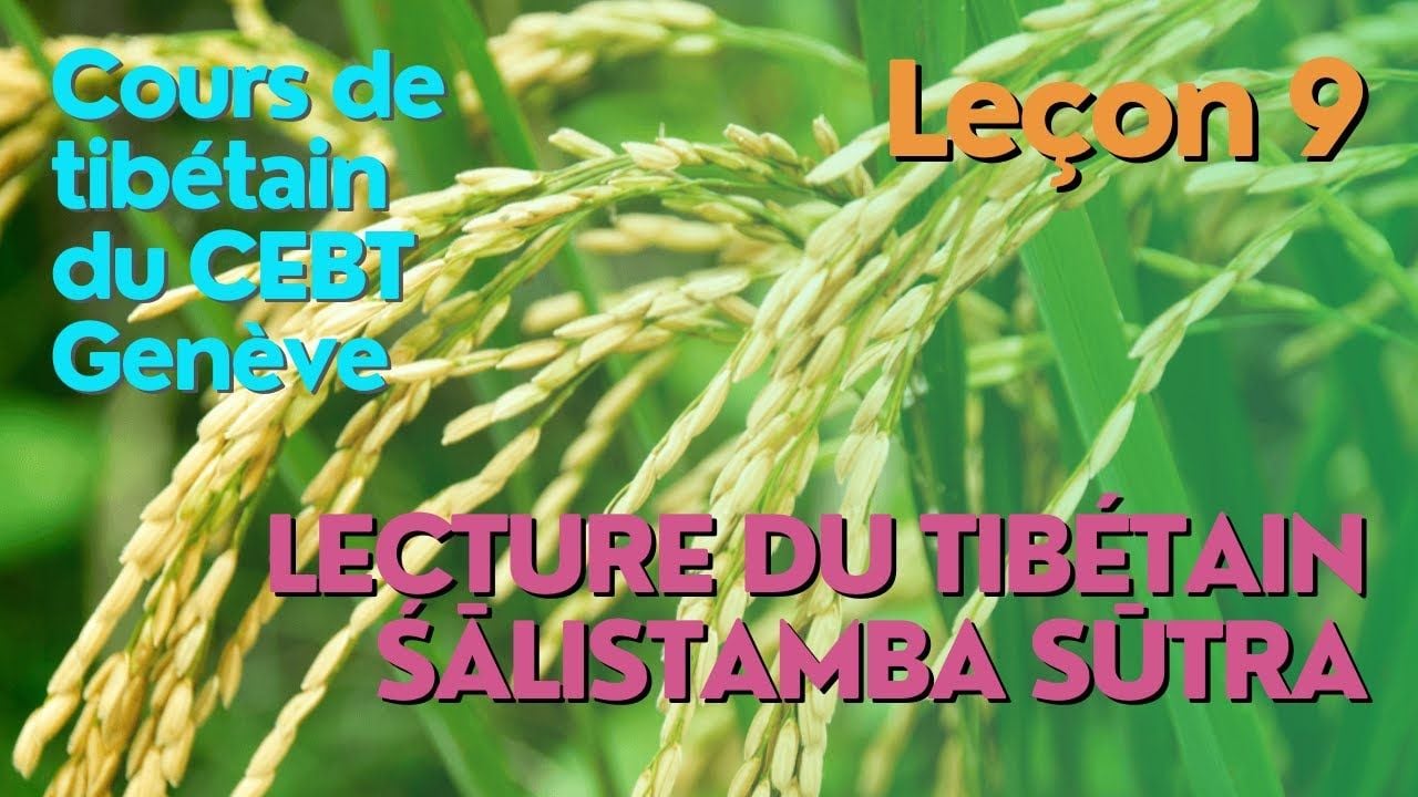 Cours de tibétain - ”pousse de riz” - leçon 9