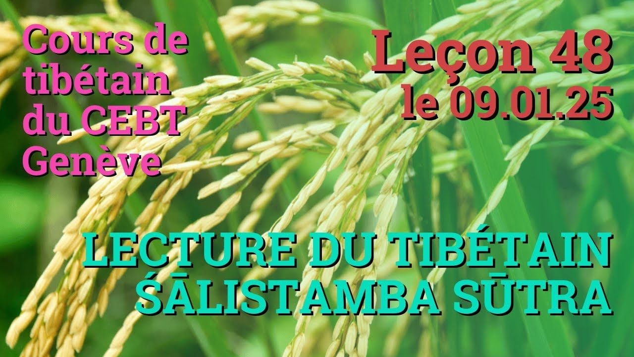 Cours de tibétain ”pousse de riz” - leçon 48, le 09.01.25