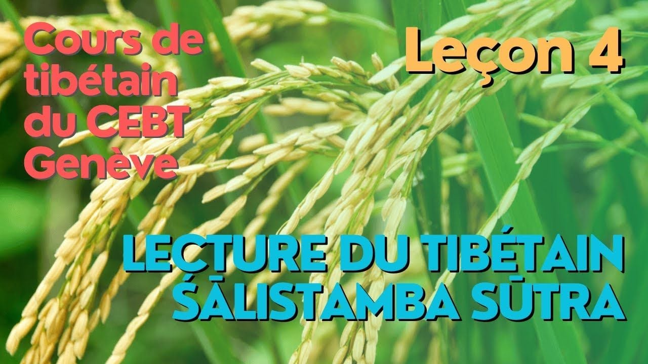 Cours de tibétain ”pousse de riz” - groupe lecture - leçon 4