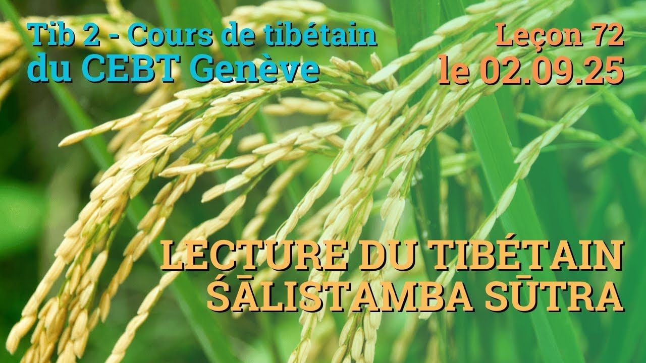 Tib 2 - Cours de tibétain ”pousse de riz” -  leçon 72, le 02.09.25