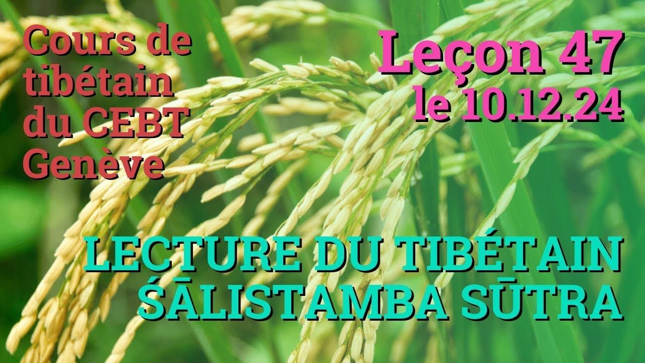 Cours de tibétain ”pousse de riz” -  leçon 47, le 10.12.24