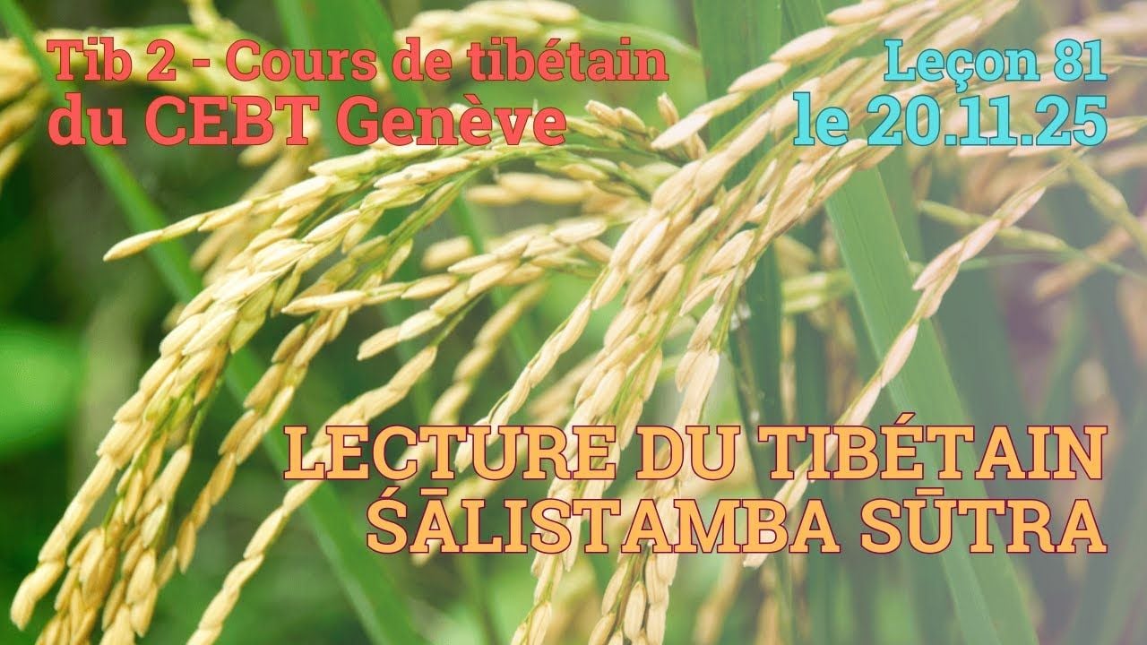 Tib 2 - Cours de tibétain ”pousse de riz” -  leçon 81, le 20.11.25