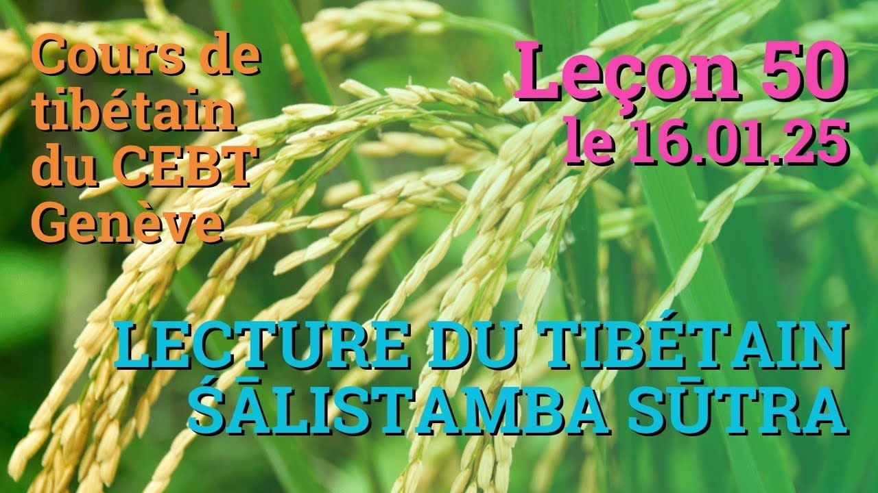 Cours de tibétain ”pousse de riz” - leçon 50, le 23.01.24