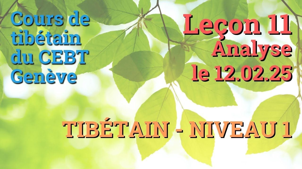 Cours de tibétain débutant leçon 11 - analyse - le 12.02.25