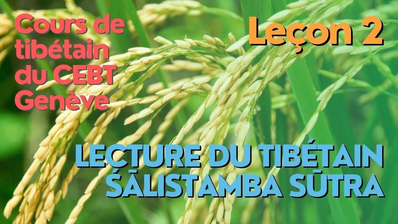 Cours de tibétain - lecture "pousse de riz" - leçon 2