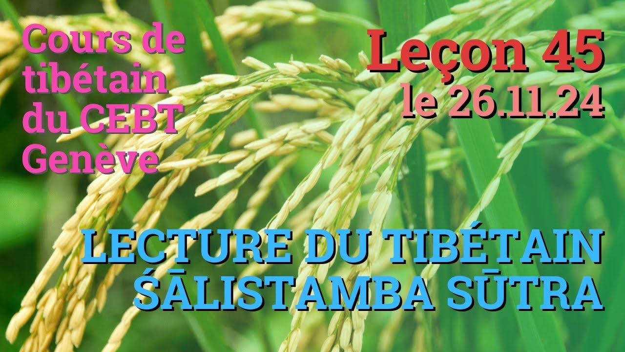 Cours de tibétain ”pousse de riz” - leçon 45, le 26.11.24