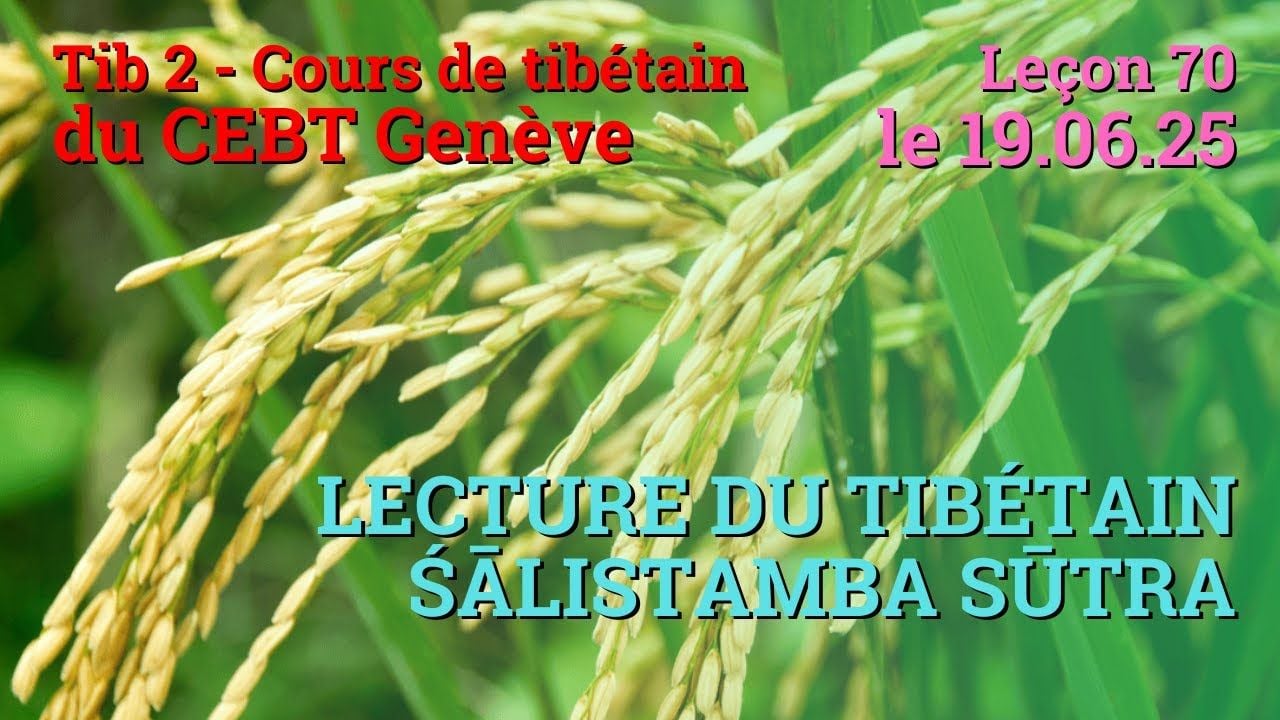 Tib 2 - Cours de tibétain ”pousse de riz” -  leçon 70, le 19.06.25