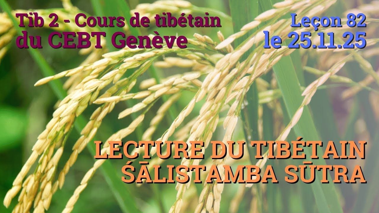 Tib 2 - Cours de tibétain ”pousse de riz” - leçon 82, le 25.11.25