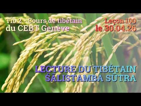 Tib 2 - Cours de tibétain ”pousse de riz” -  leçon 100, le 30.04.26