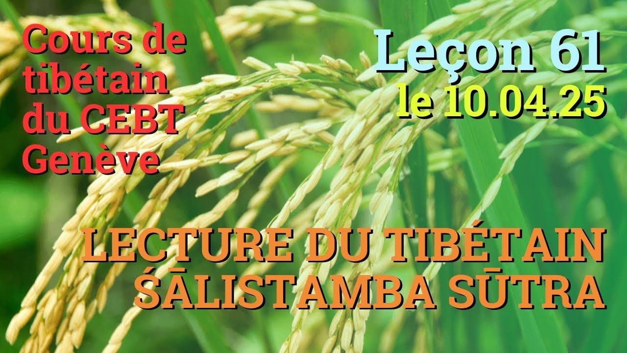 Tib 2 - Cours de tibétain ”pousse de riz” -  leçon 61, le 10.04.25