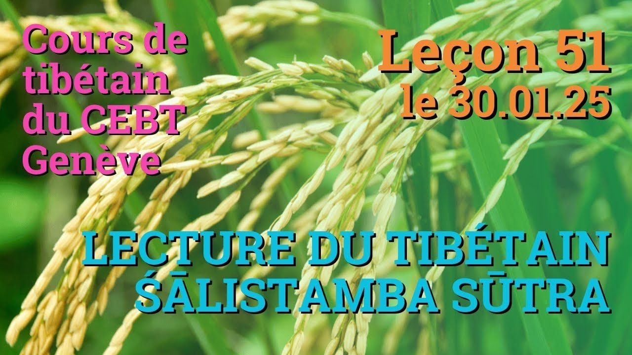Cours de tibétain ”pousse de riz” - leçon 51, le 30.01.25