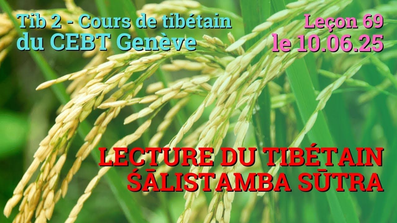 Tib 2 - Cours de tibétain ”pousse de riz” -  leçon 69, le 10.06.25