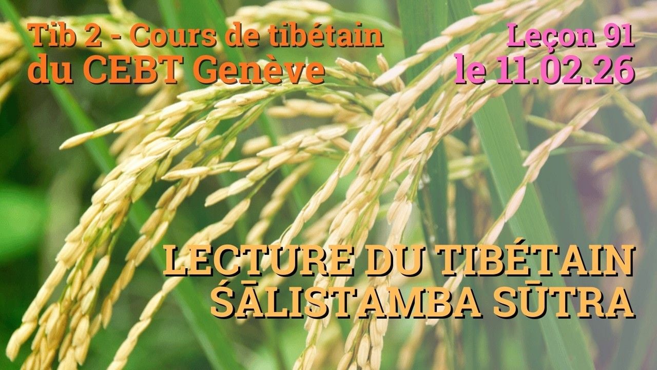 Tib 2 - Tibetan course “Rice sprout” - lesson 91, 11.02.26-2