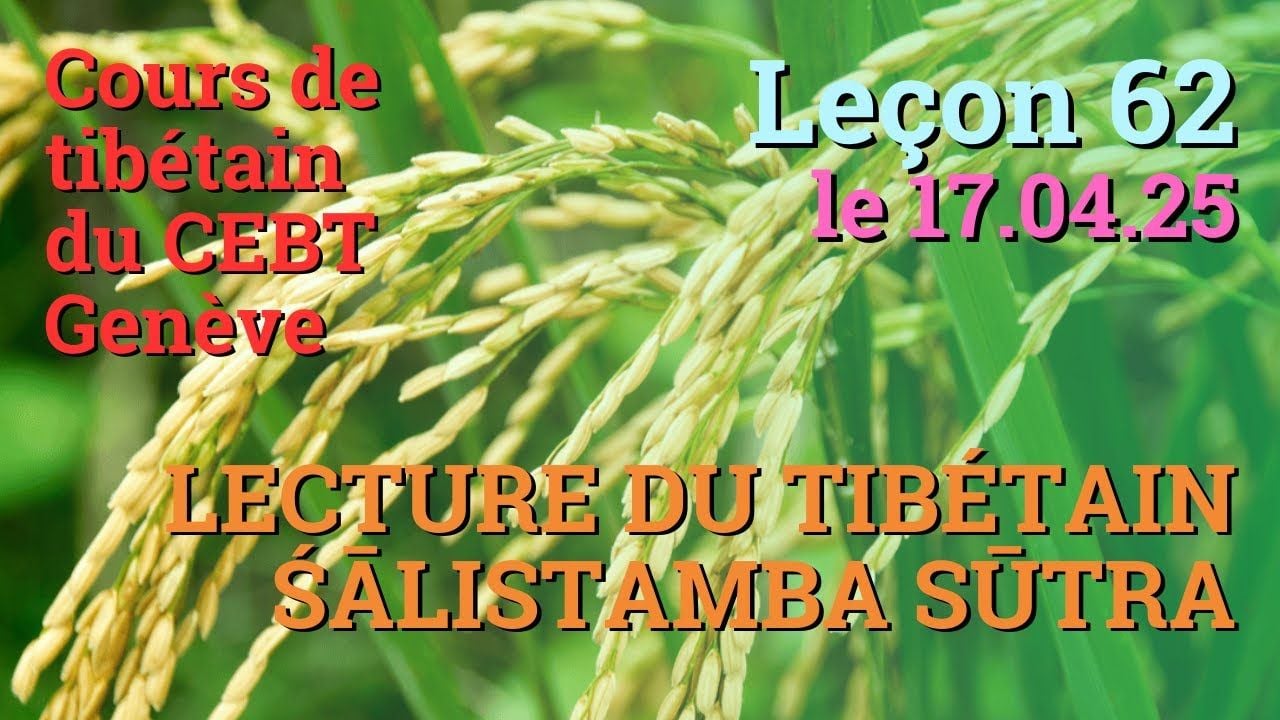 Tib 2 - Cours de tibétain ”pousse de riz” -  leçon 62, le 17.04.25