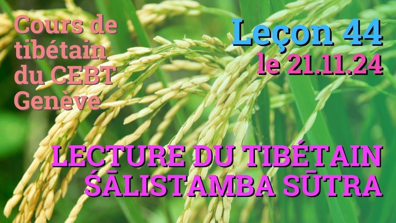 Cours de tibétain ”pousse de riz” - leçon 44, le 21.11.24