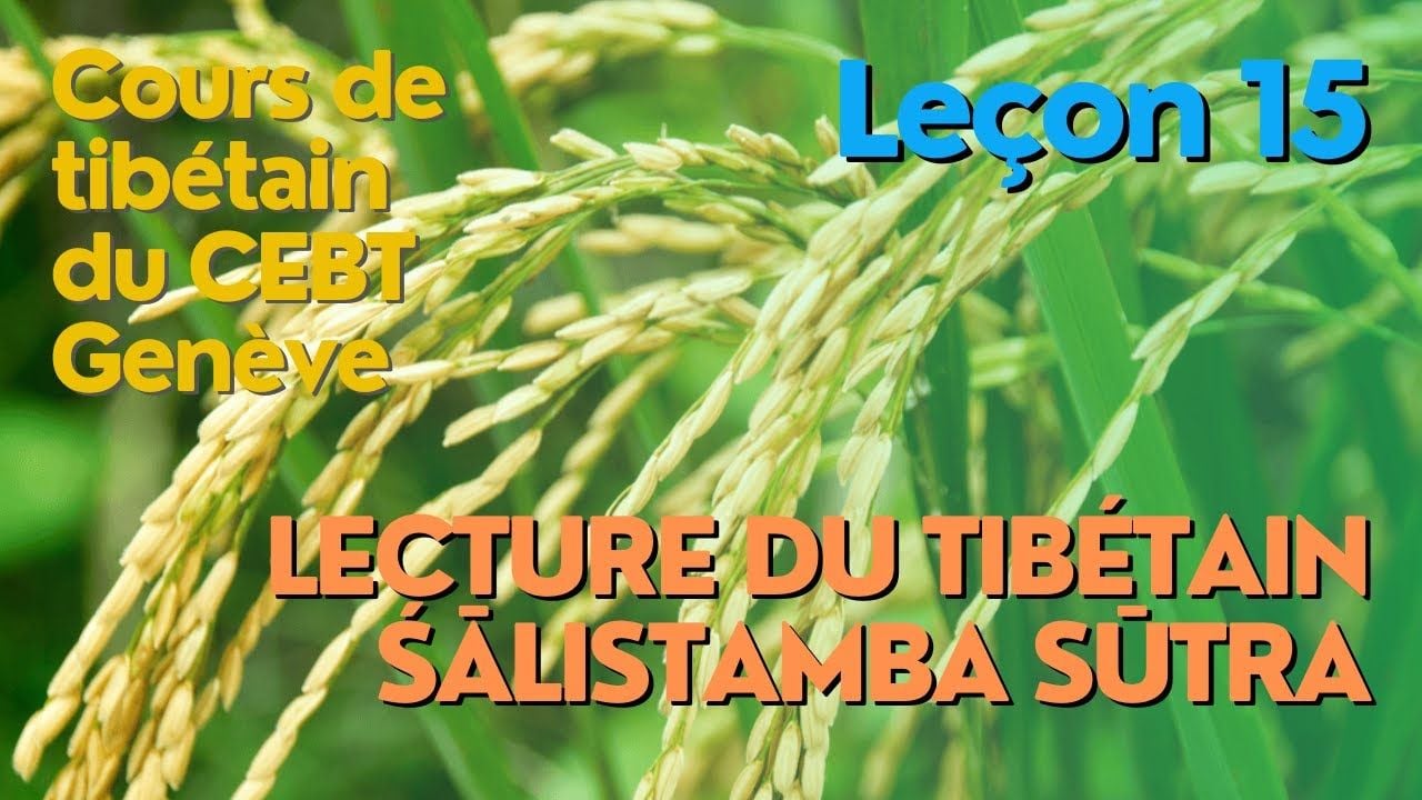Cours de tibétain ”pousse de riz”    leçon 14