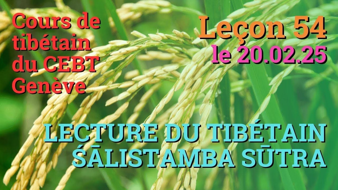 Cours de tibétain ”pousse de riz” - leçon 54, le 20.02.24
