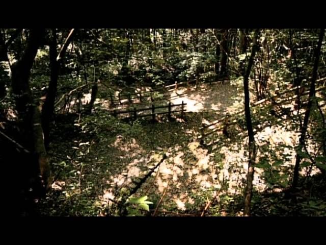 維新の志士達が駆け抜けた歴史の道　萩往還｜ヤマグチ旅シネマ