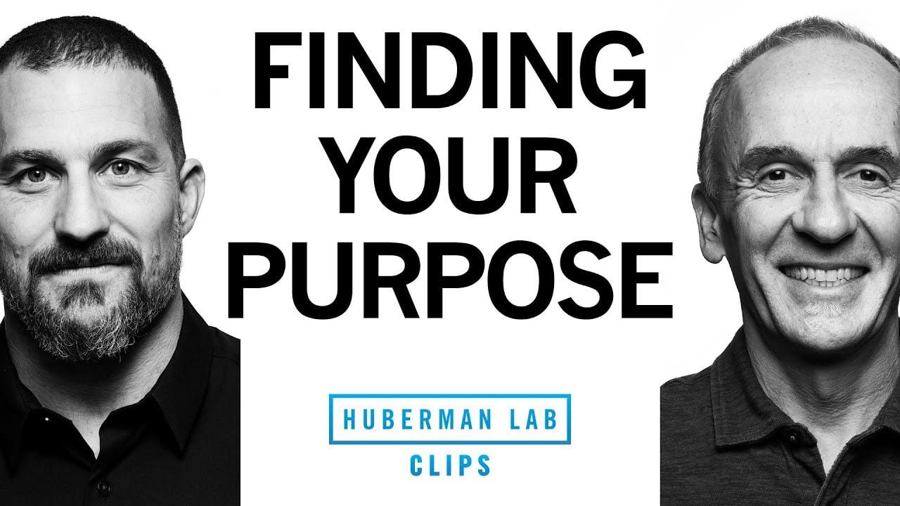 How to Find Your Purpose in Life