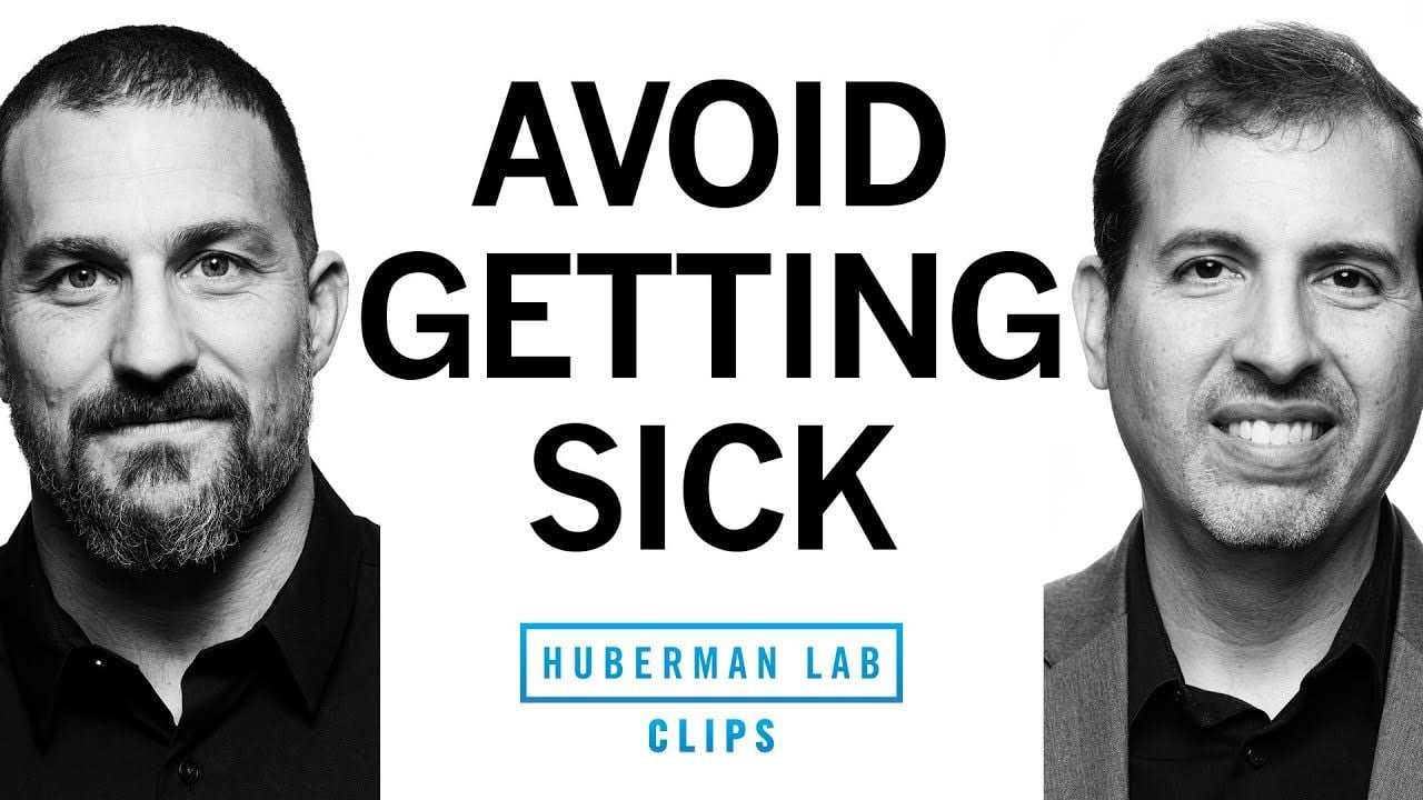 8 Pillars for Building Your Immune System | Dr. Roger Seheult & Dr. Andrew Huberman