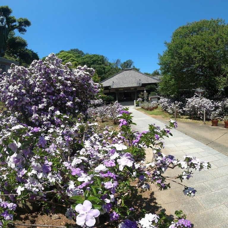 Ryosenji · 12-12 Sanchome, Shimoda, Shizuoka 415-0023, Japan