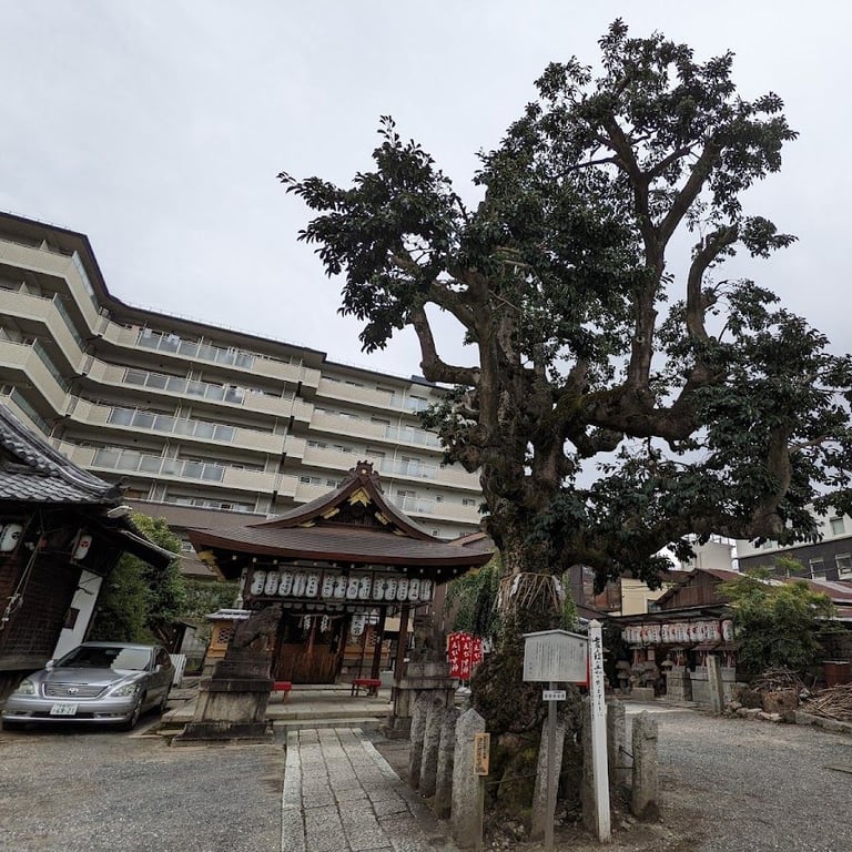 Daikokuji Temple · 4 Takajocho, Fushimi Ward, Kyoto, 612-8062, Japan