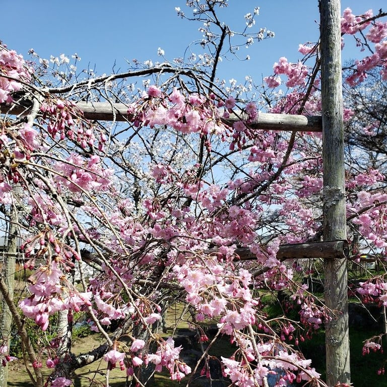 下関市立東行記念館 · 1184 Yoshida, Shimonoseki, Yamaguchi 750-1101, Japan