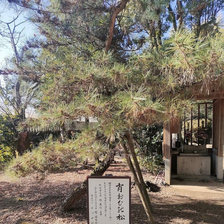 西南戦争 田原坂の戦い 七本官軍墓地 · Kumamoto, Kumamoto
