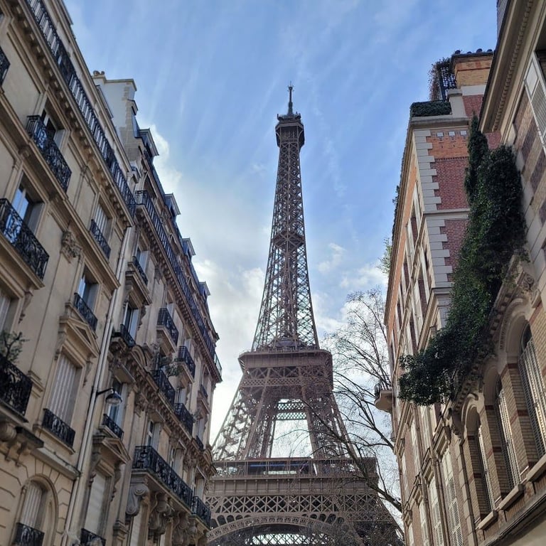 Rue de l'Université