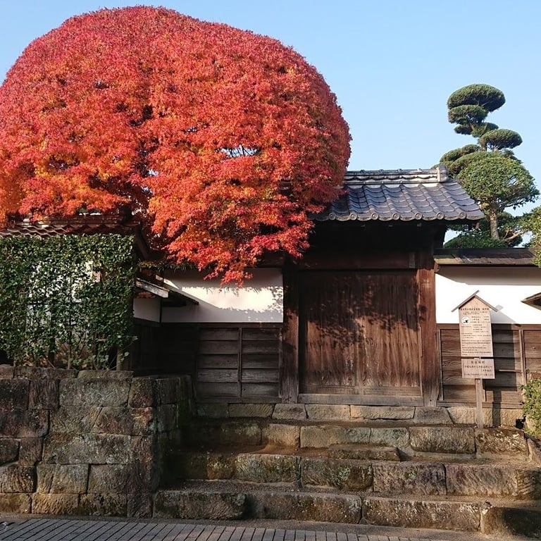 Saijo-tei (Tax Residences) · Izumi, Kagoshima