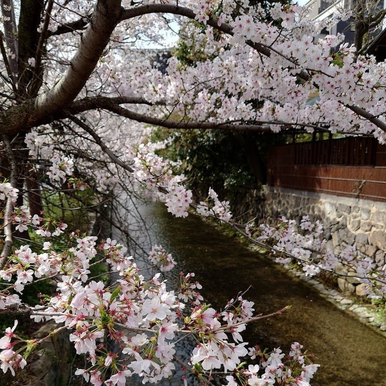 高瀬川 一之船入 · Nakagyo Ward, Kyoto, 604-0924, Japan