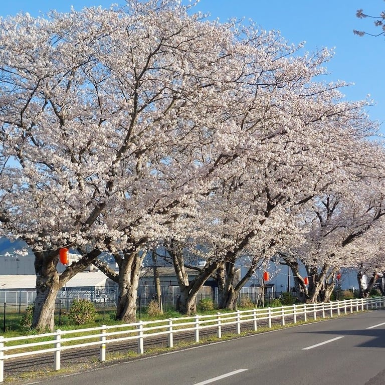 Tokkohi Park · Izumi, Kagoshima