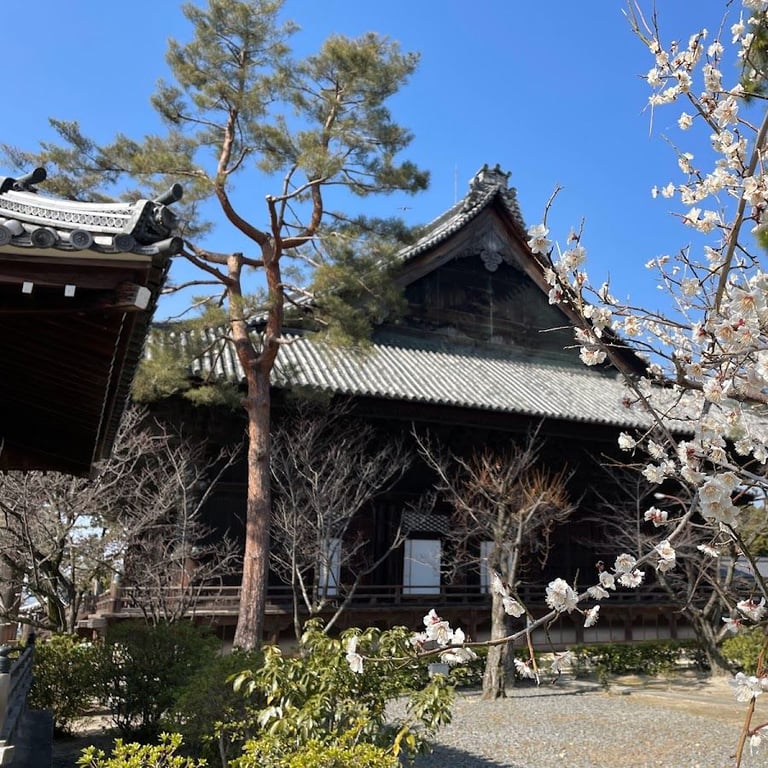 百万遍さんの手づくり市 · Japan, 〒606-8225 Kyoto, Sakyo Ward, Tanaka Monzencho, 103 百萬遍知恩寺境内