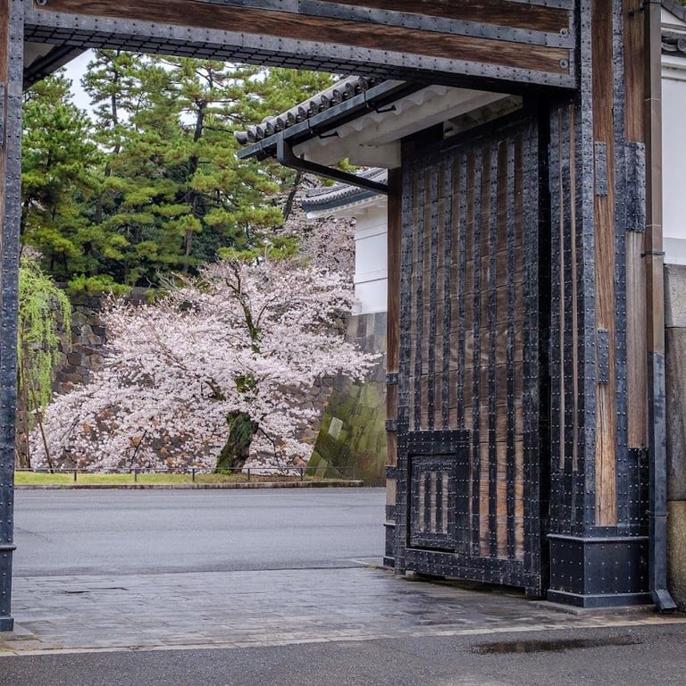 Sakurada-mon · 1-1 Kokyogaien, Chiyoda City, Tokyo 100-0002, Japan