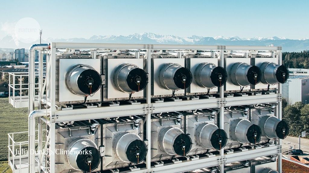 Microsoft's million-tonne CO2-removal purchase - lessons for net zero