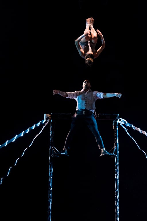 Marcella Collares e Olavo Rocha | ENCLO 2015