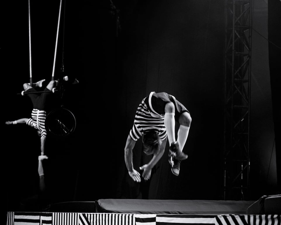 II Bienal de CIrco | ENCLO 2019