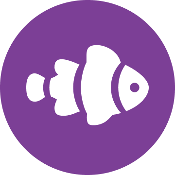 Neemo Finance – Medium